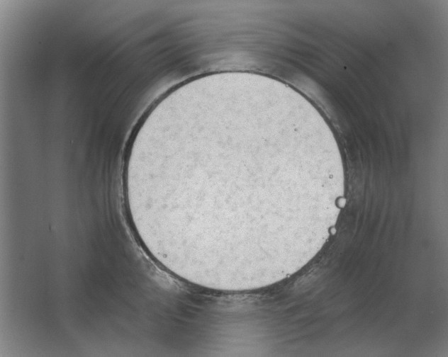 X0000063471000200602101736