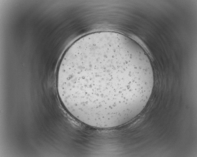 X0000063471004200602101735