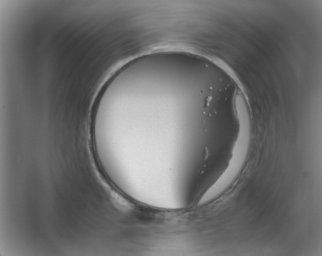 X0000063471005200602101735