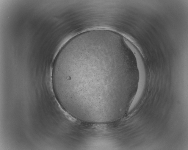 X0000063471006200602101735