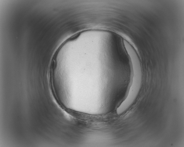 X0000063471007200602101735