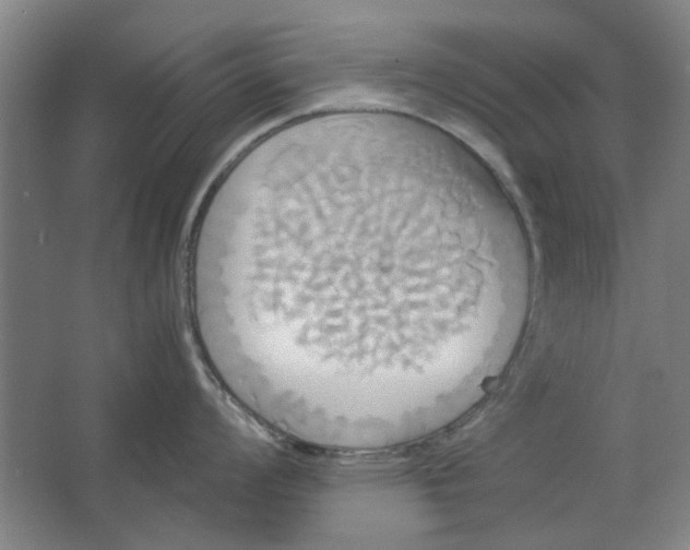 X0000063471008200602101735