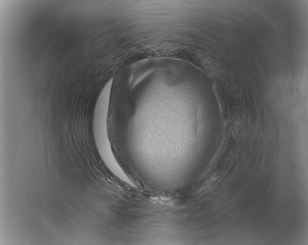 X0000063471010200602101735