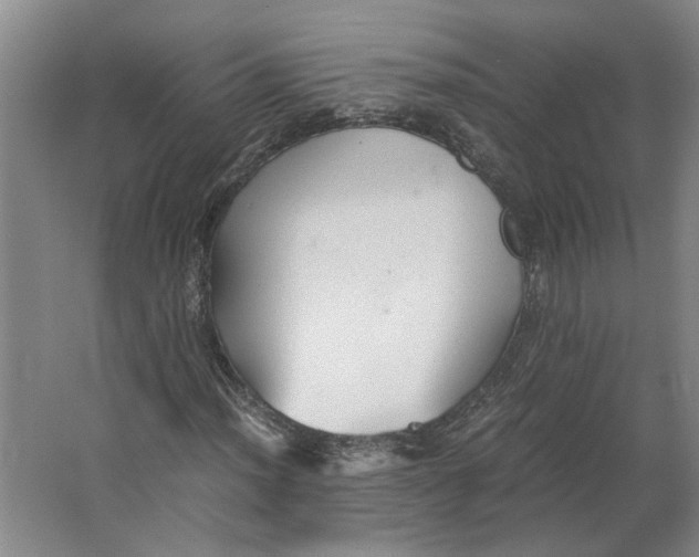 X0000063471012200602101735