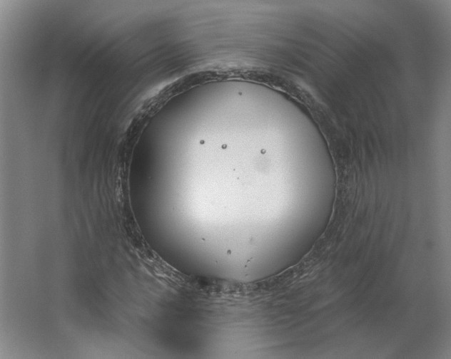 X0000063471016200602101735