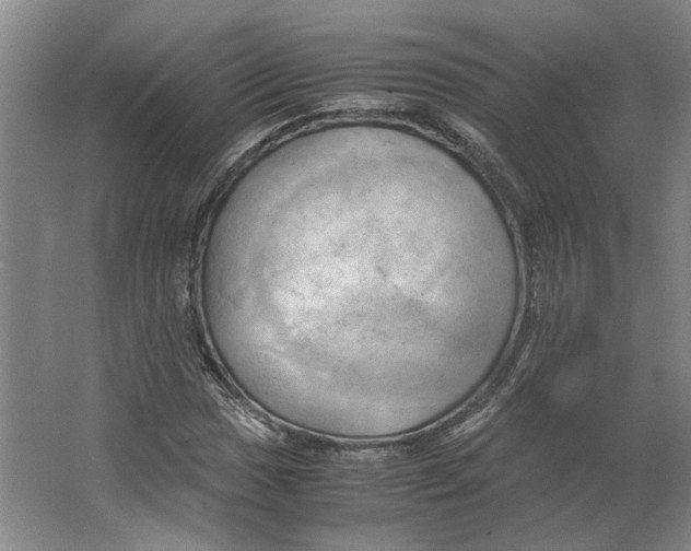 X0000063471017200602101735