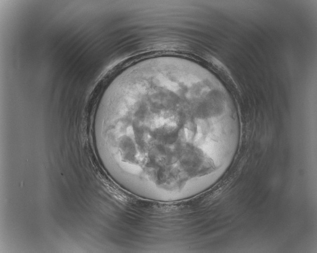 X0000063471019200602101735