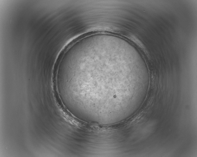 X0000063471020200602101735