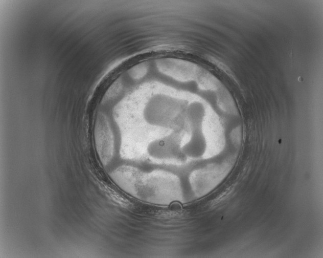 X0000063471021200602101735