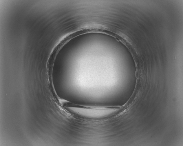 X0000063471022200602101735