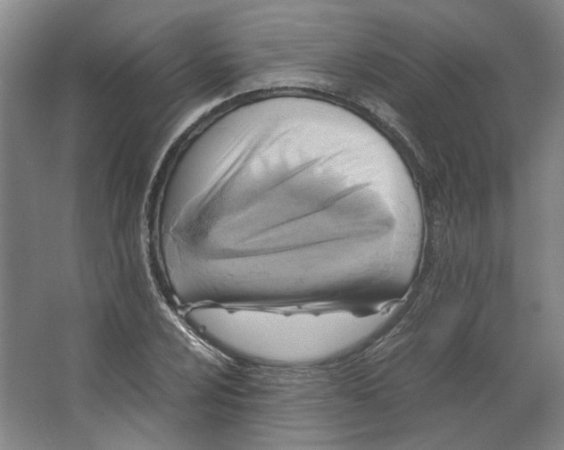 X0000063471024200602101735