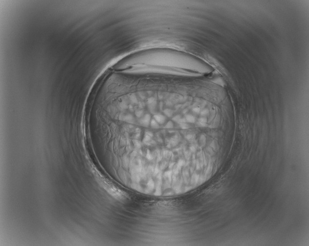 X0000063471028200602101735