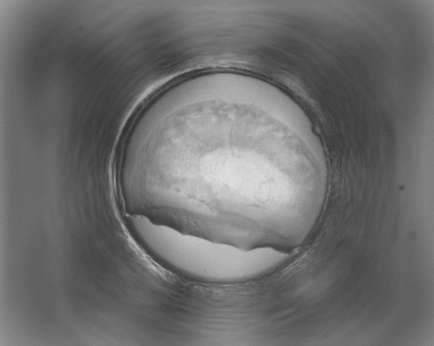 X0000063471032200602101735