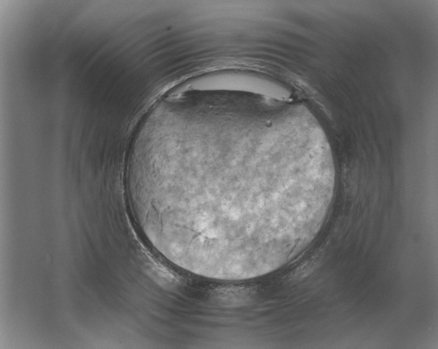 X0000063471033200602101735