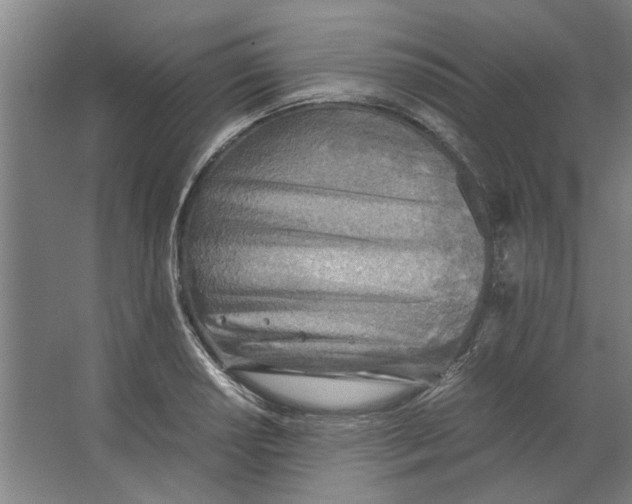 X0000063471034200602101735