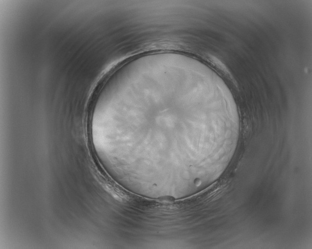 X0000063471035200602101735