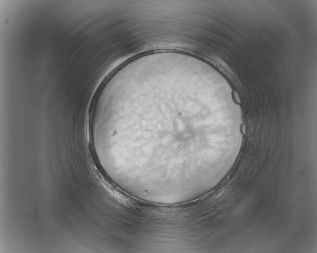 X0000063471036200602101735