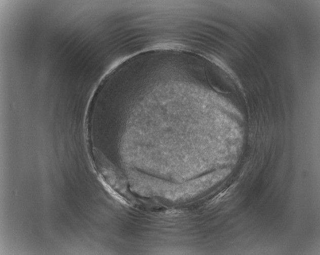 X0000063471037200602101735