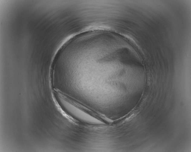 X0000063471038200602101735