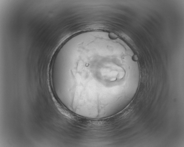 X0000063471039200602101735