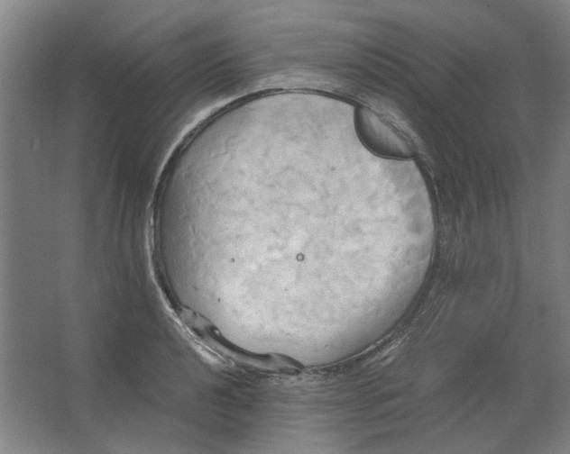 X0000063471040200602101735