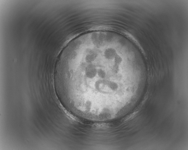 X0000063471041200602101735