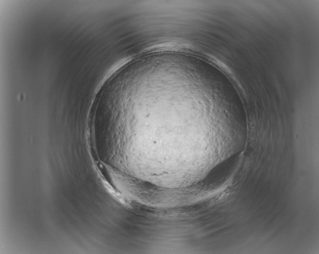 X0000063471042200602101735