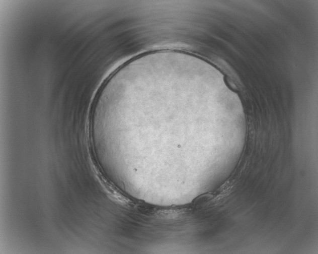 X0000063471044200602101735