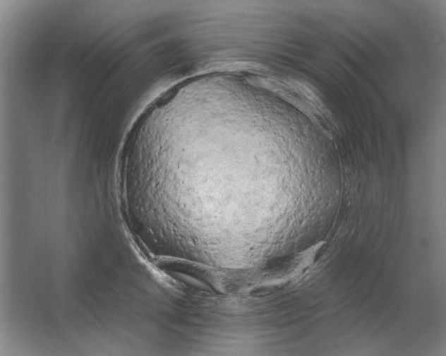 X0000063471046200602101735