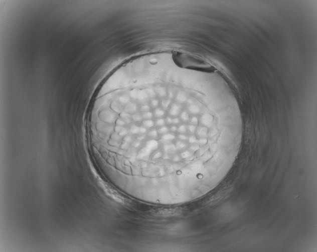 X0000063471047200602101735