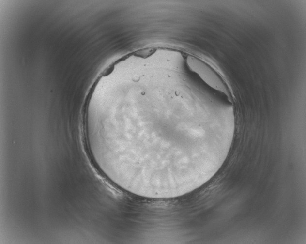 X0000063471048200602101735