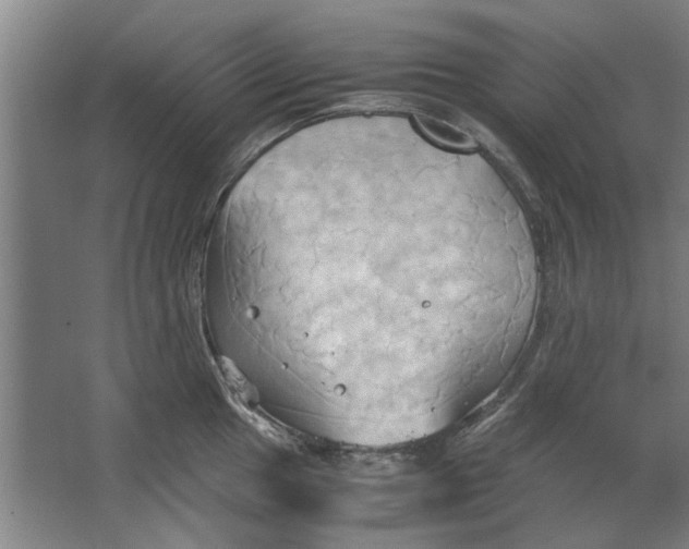 X0000063471049200602101735