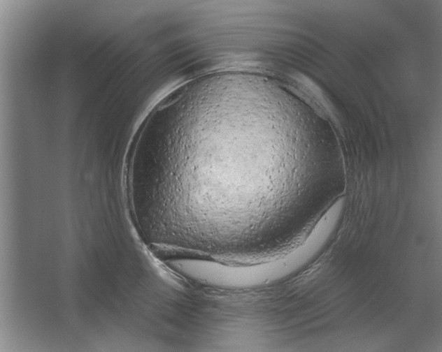 X0000063471050200602101735