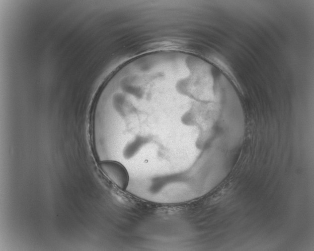 X0000063471051200602101735