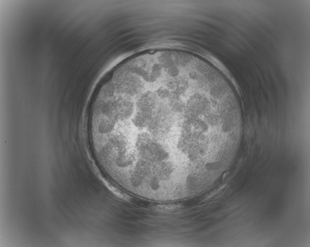 X0000063471053200602101735