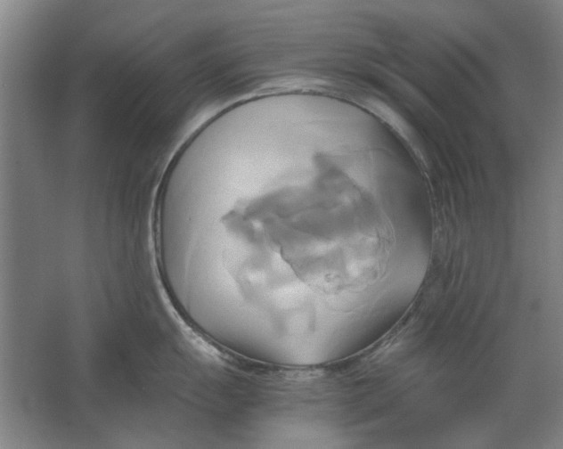 X0000063471055200602101735