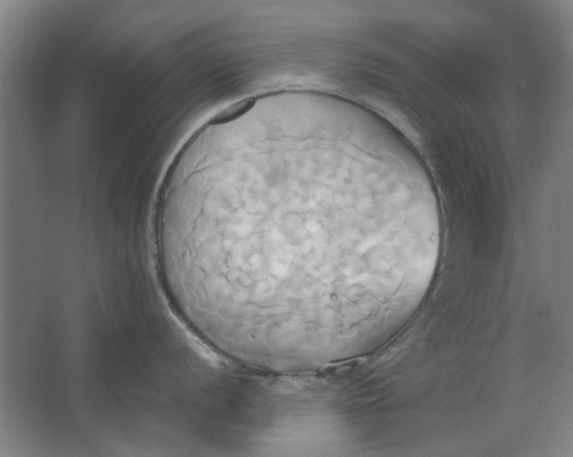 X0000063471056200602101735