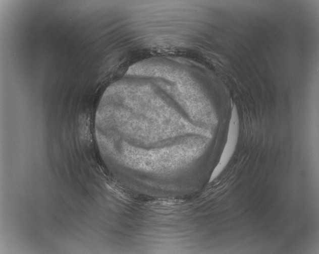 X0000063471060200602101735