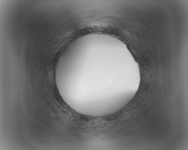 X0000063471061200602101734