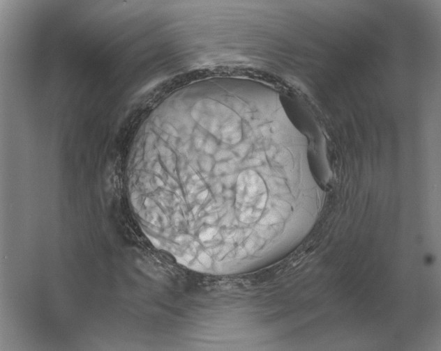 X0000063471063200602101734