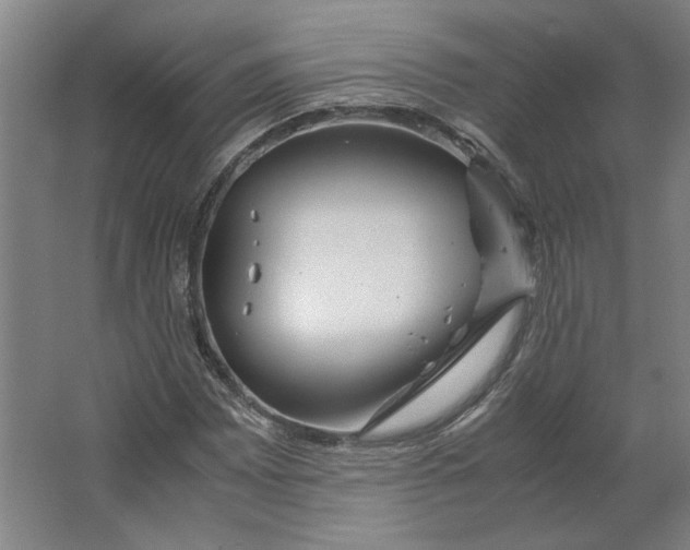 X0000063471065200602101734