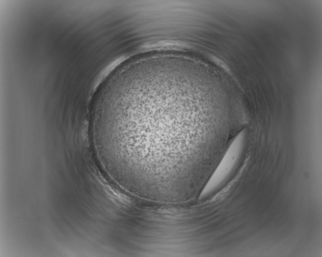 X0000063471066200602101734