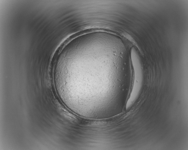 X0000063471068200602101734