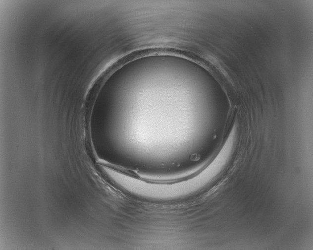 X0000063471069200602101734