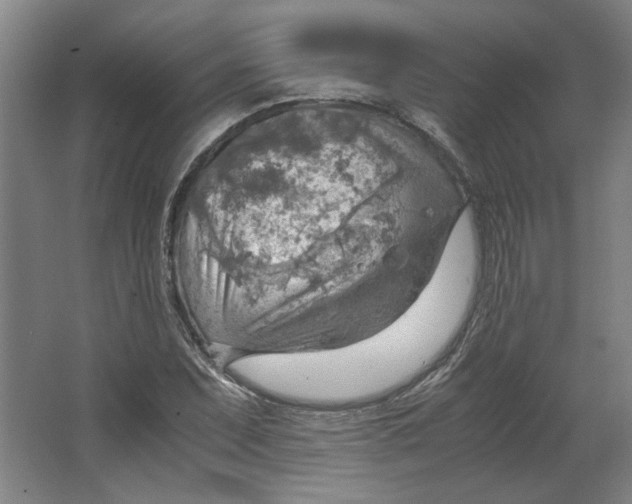 X0000063471071200602101734