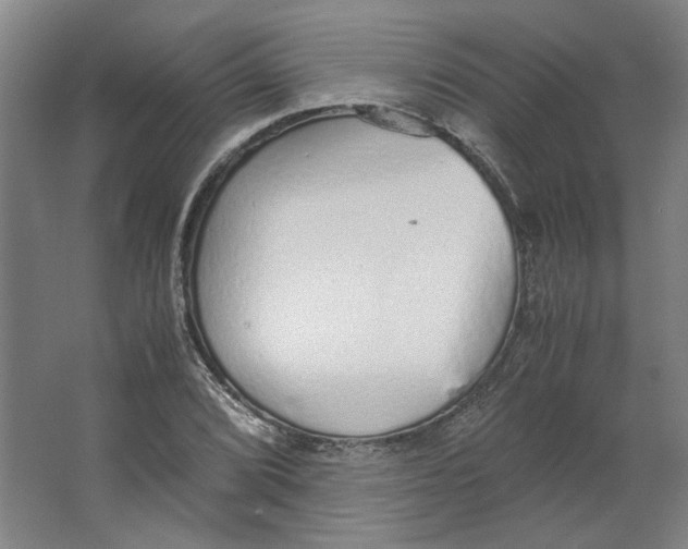 X0000063471072200602101734