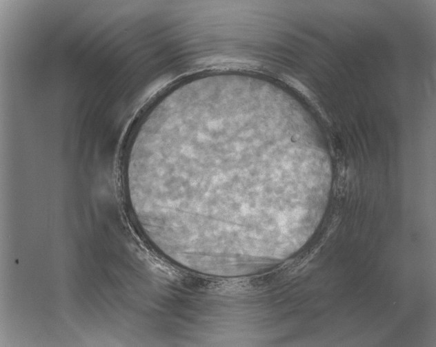 X0000063471074200602101734