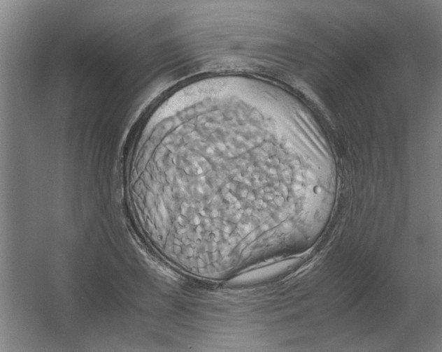 X0000063471075200602101734