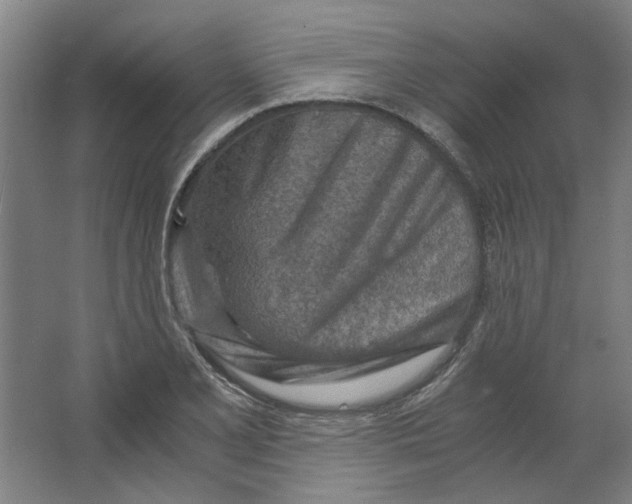 X0000063471077200602101734