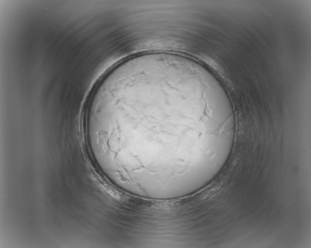 X0000063471078200602101734